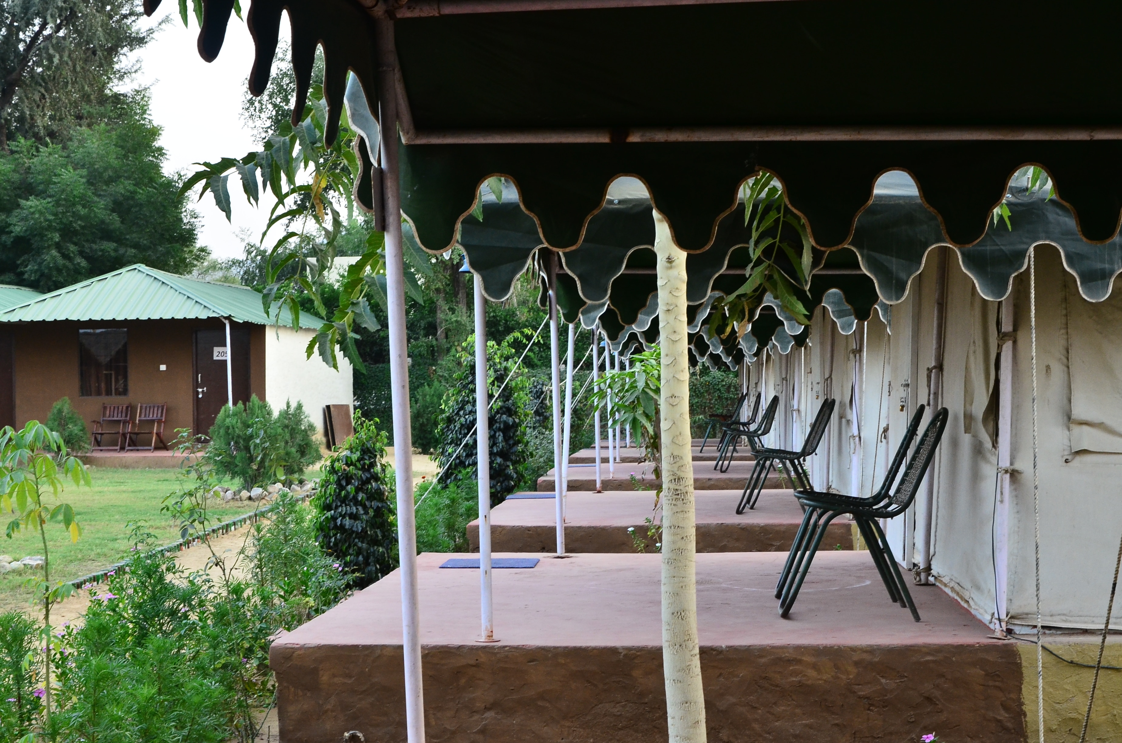 Royal Rajputana Camp - Tap to explore photos