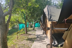 Manali Base  Camp, Bir Billing