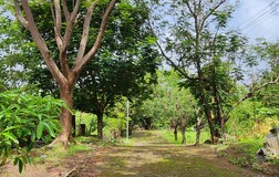 Outdoors