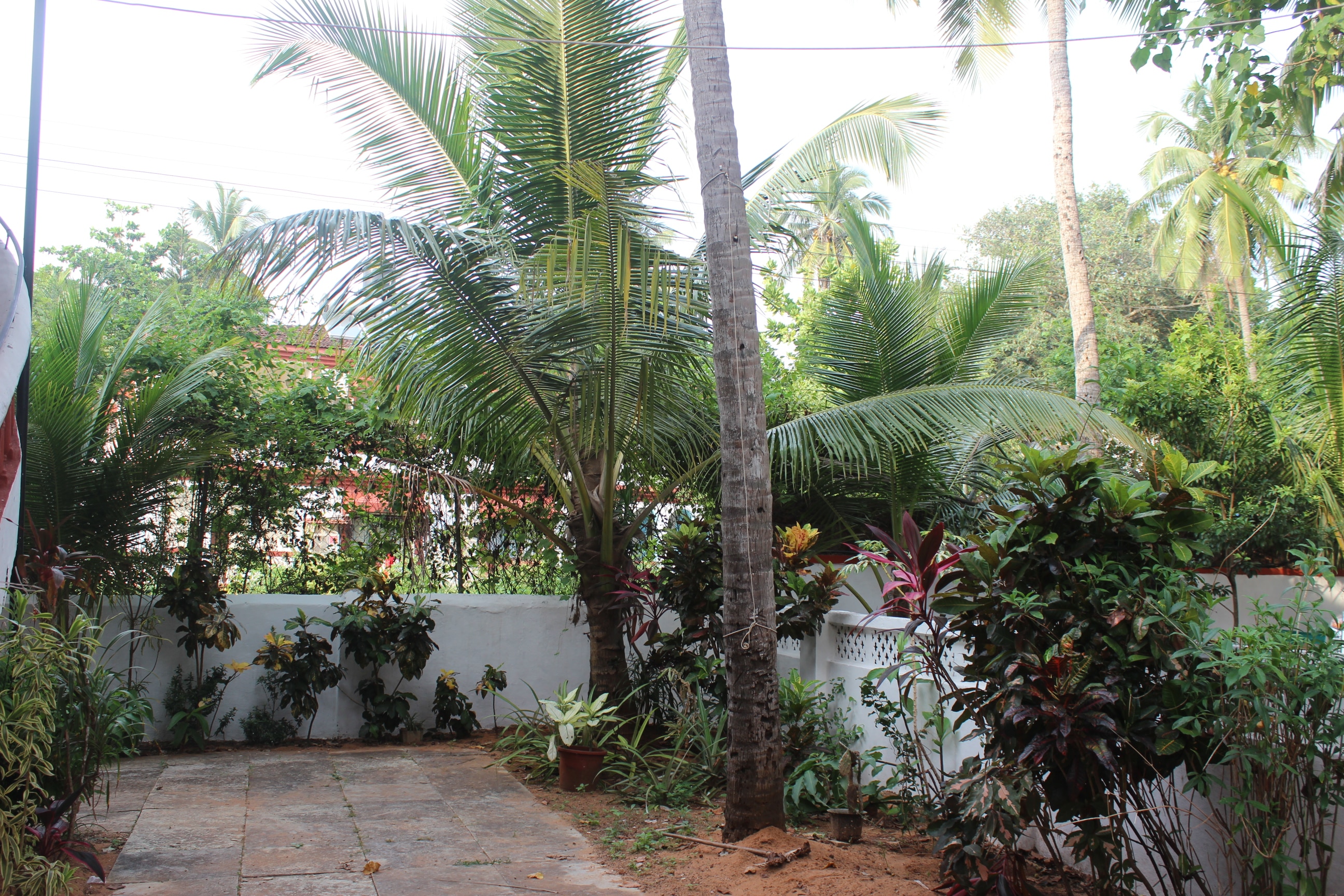 C.M.Sieiro Guest House - Tap to explore photos