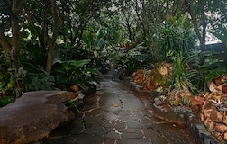 Outdoors