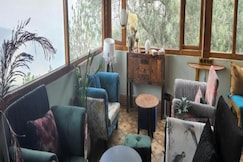 Star and Pines- Binsar, Binsar