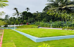 Outdoors