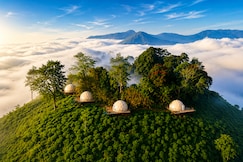 Hipnoetic Stays | Geodesic Domes & Tea Planters Bungalow, Wayanad