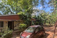Jungle Hut Dreamy Greeny, Coonoor
