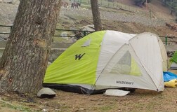 Tent 1