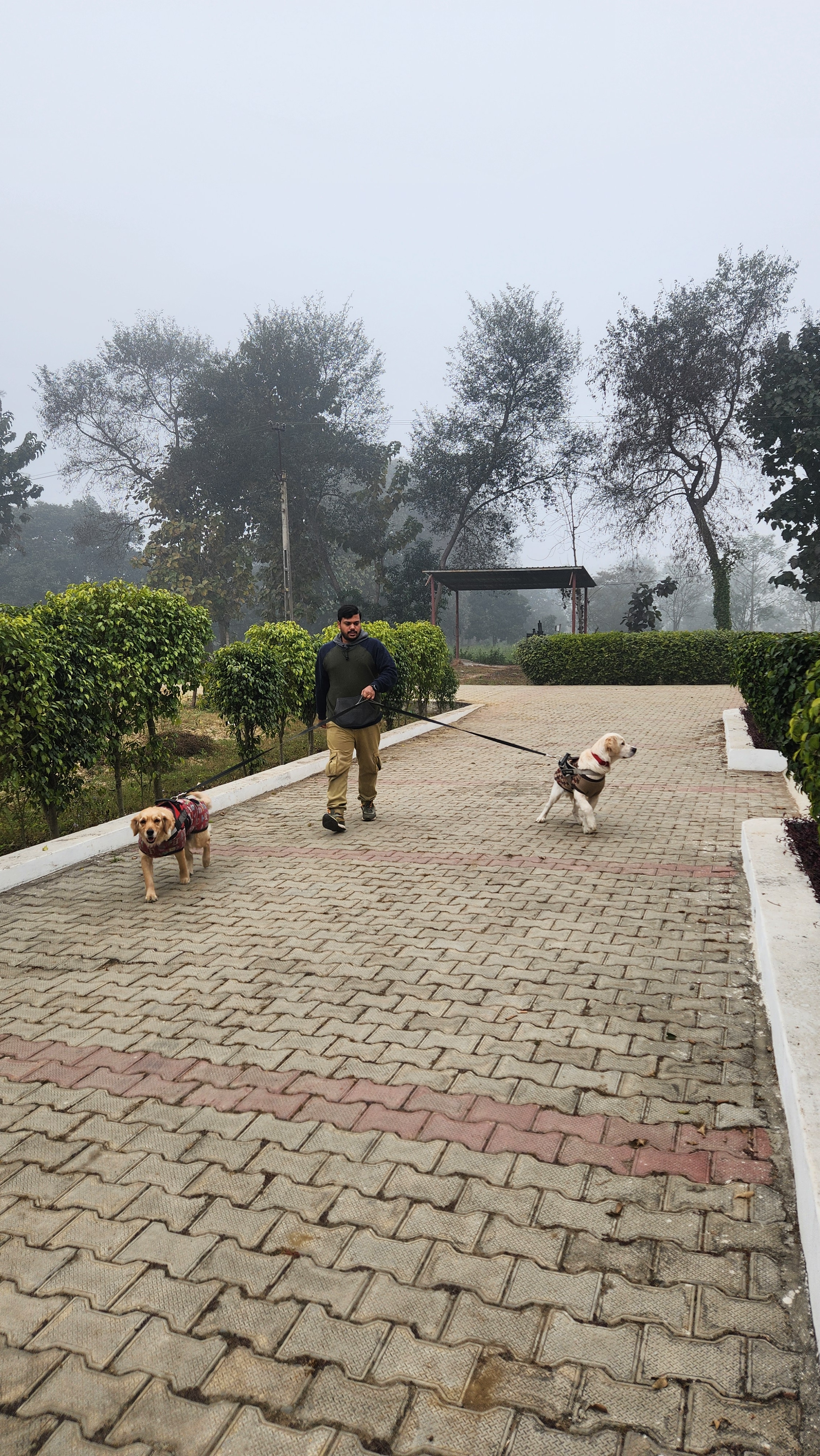 Rajwada Farms - Tap to explore photos
