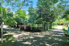 Chai Seeds Resort, Tinsukia