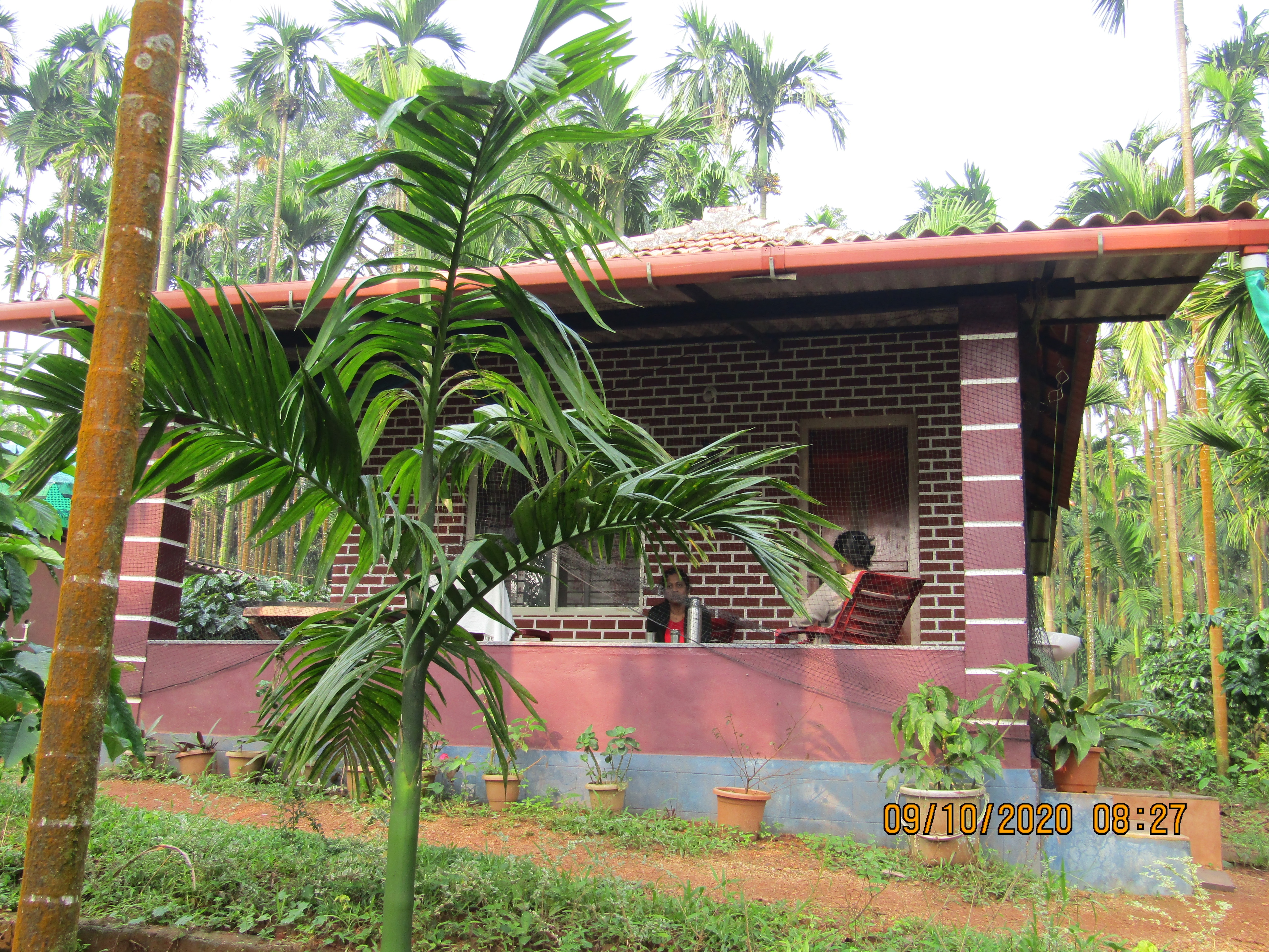 Mithila Nature Stay - Tap to explore photos