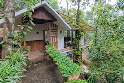 PARAKKATTU FLOWERS, Munnar