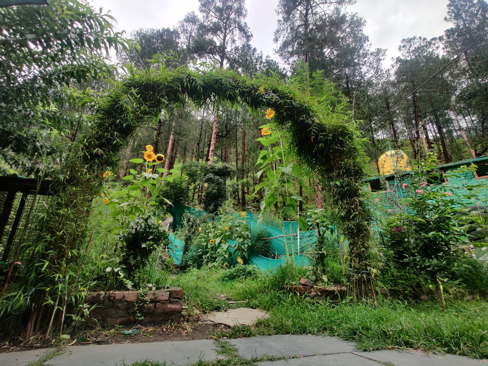 Majestic Mountain Bhai ji Guest house - Tap to explore photos