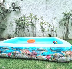 Swimming Pool 1