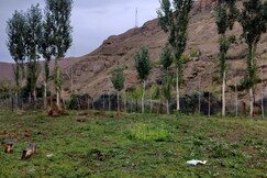 Countrysidevilla guest house, Kargil