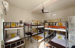 Dormitory Beds