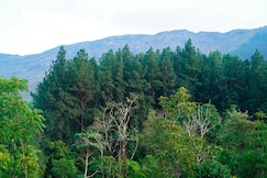 Pine vagamon resort, Vagamon