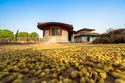 Sal Tree Homestay, Anuppur