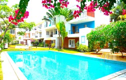 Swimming Pool 1
