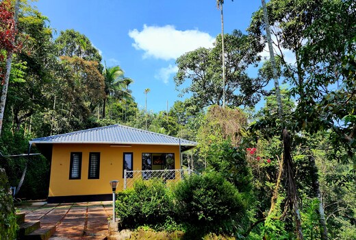 Glendale Stream View Cottages