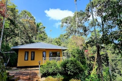 Glendale Stream View Cottages, Wayanad