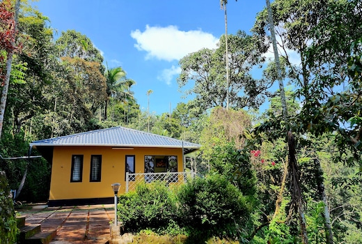 Glendale Stream View Cottages