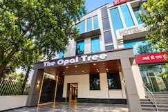 The Opal Tree, Delhi