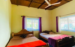 Living Room 2