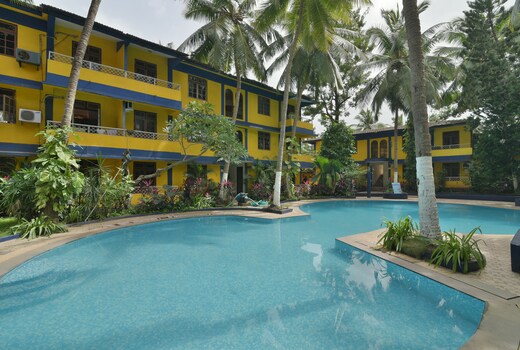 Golden Palms