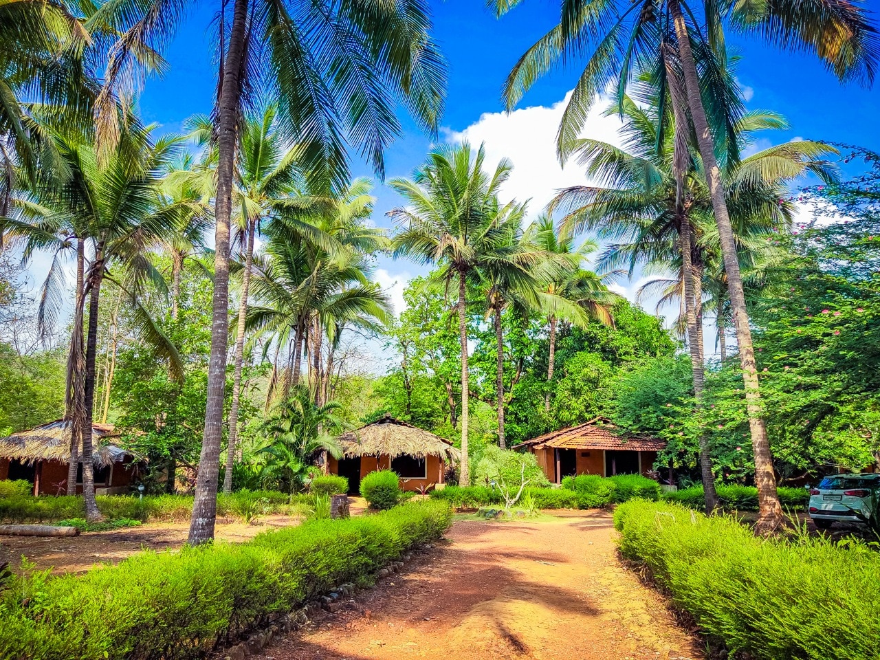 Natures Nest Goa - Tap to explore photos