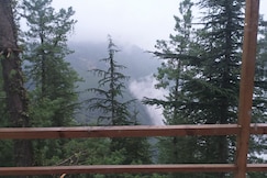 Jungle panyali house