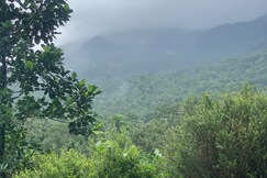 Y home, Wayanad