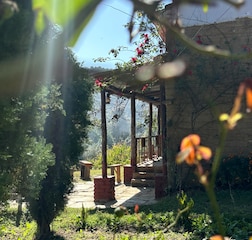 The Mud Cottage