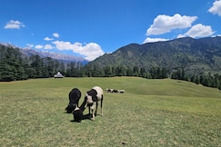 Shidha homestay, Sainj