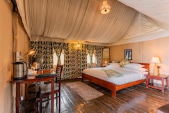 Seed at Queens Meadows  Ranikhet, Nainital