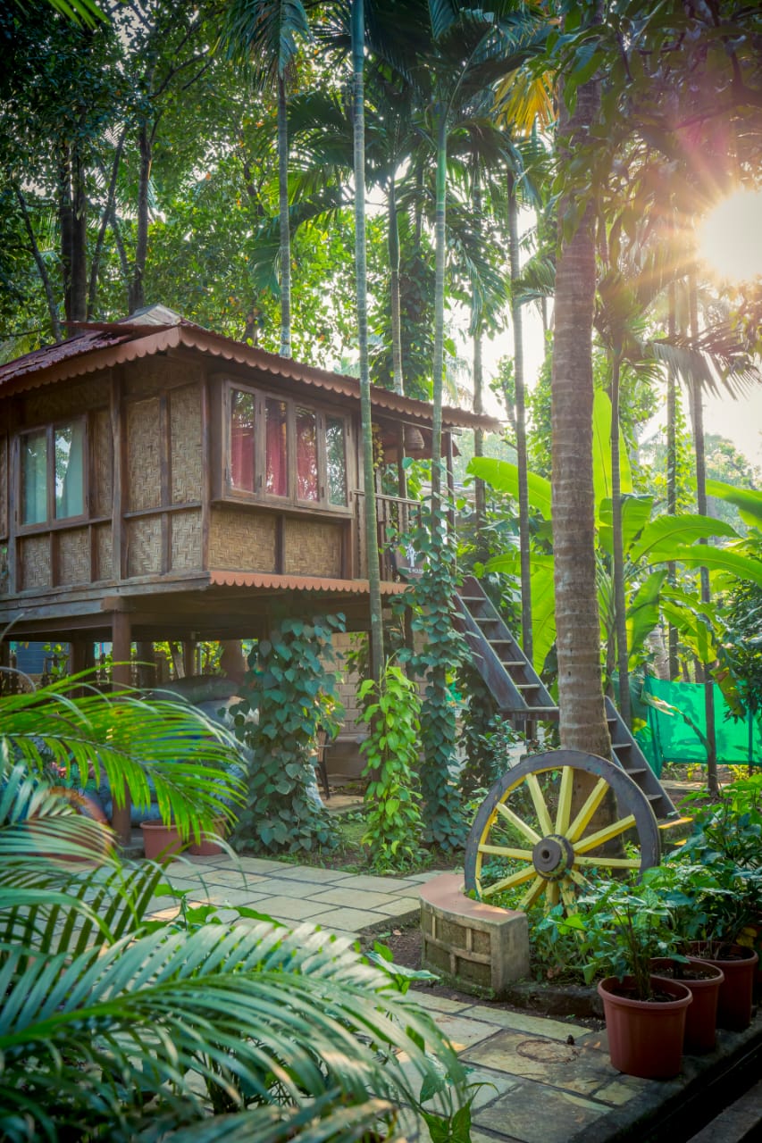 Tree house 1