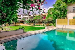 Elephant Pushkar, Pushkar