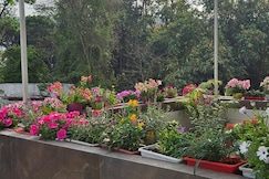 Bethel Air BnB and Homestay Sinaula, Dehradun