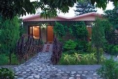 Corbett Tigers n Trees, Jim Corbett (Ramnagar)