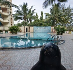 Swimming Pool 1