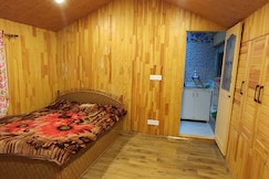 Cozy cottage, Srinagar