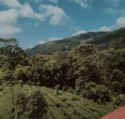 Budget Balcony room 1