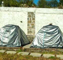 Tent 1