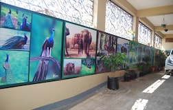 Common Area