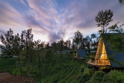 Triangle by the valley, Ooty