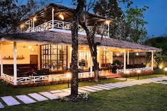 Saj In the forest Pench, Pench