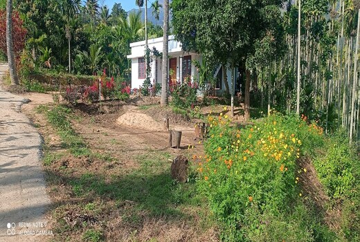 MM Cottage Marayoor