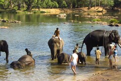 Bean & Breeze, Coorg