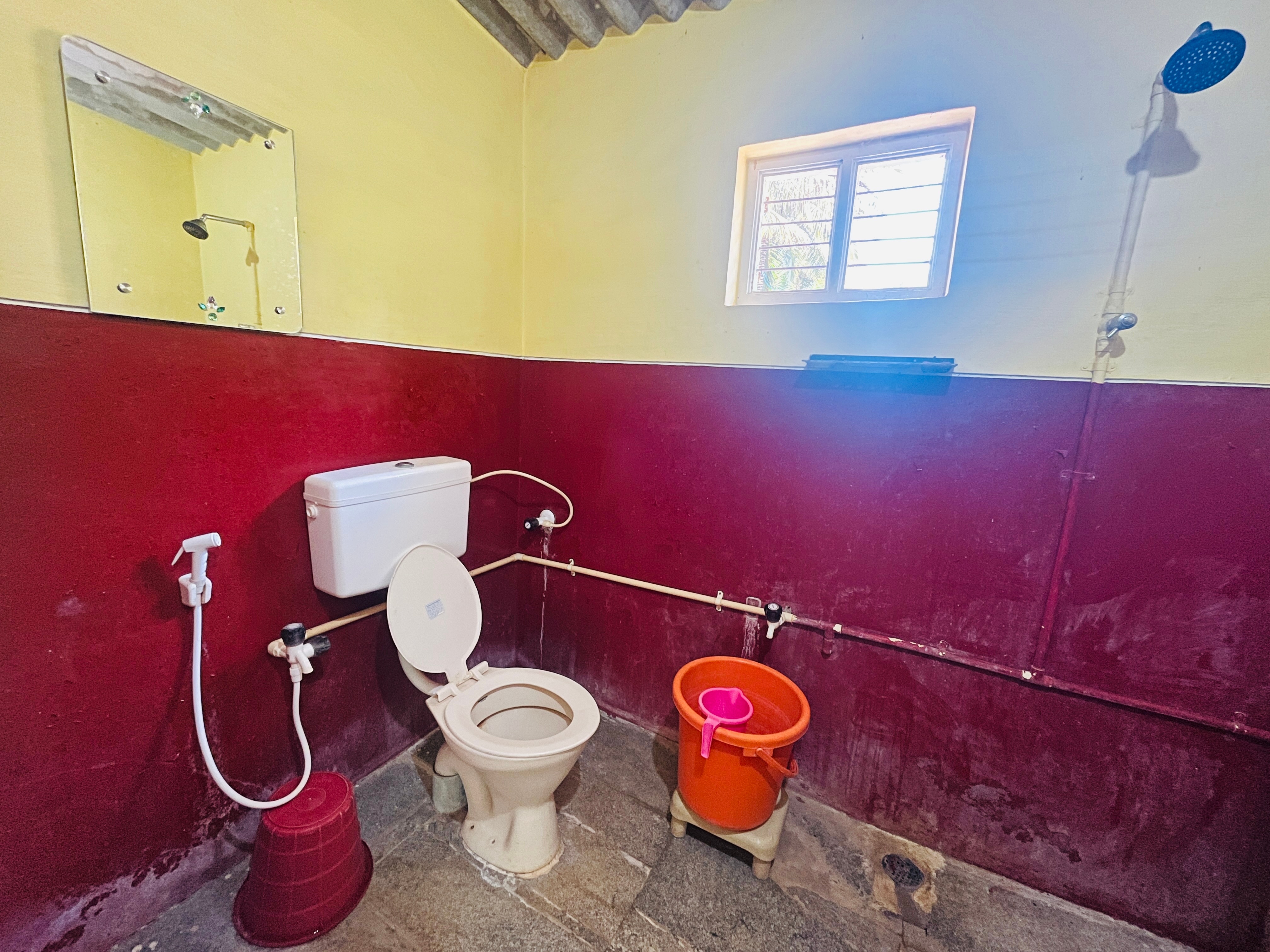 Junglebliss homestay - Tap to explore photos