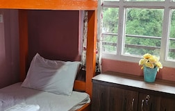 Bunk Beds
