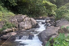 Banaghatt Resorts, Wayanad
