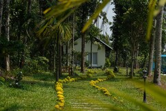 Cloud Wood Resort, Wayanad